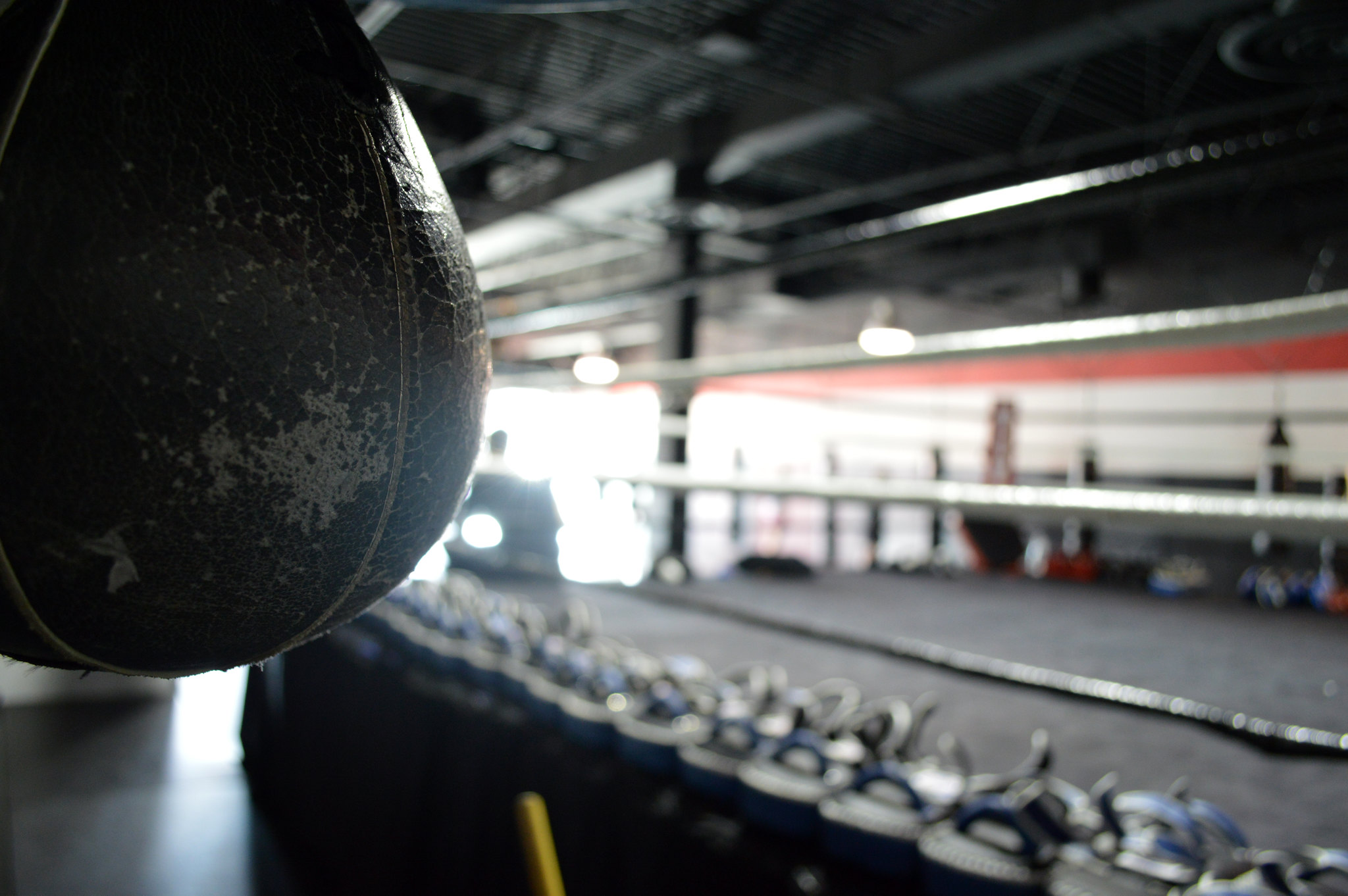 New Strategies of Transnational European-U.S. Right-Wing Extremist ...